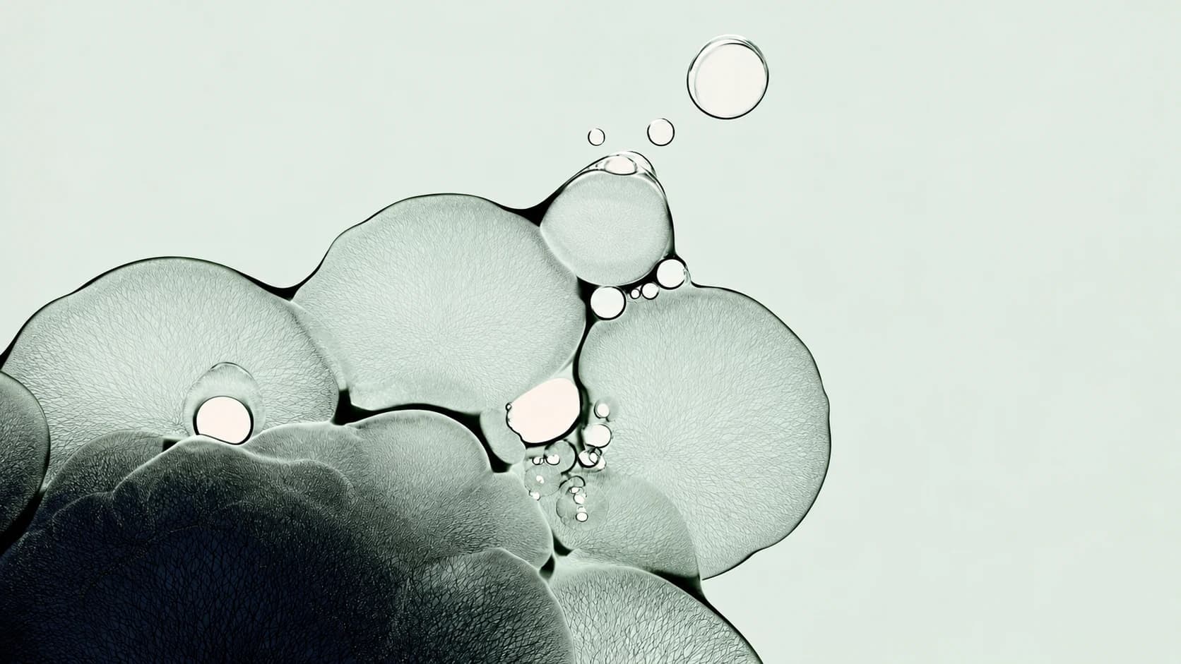 Balance — Meta Ads, redes y UX