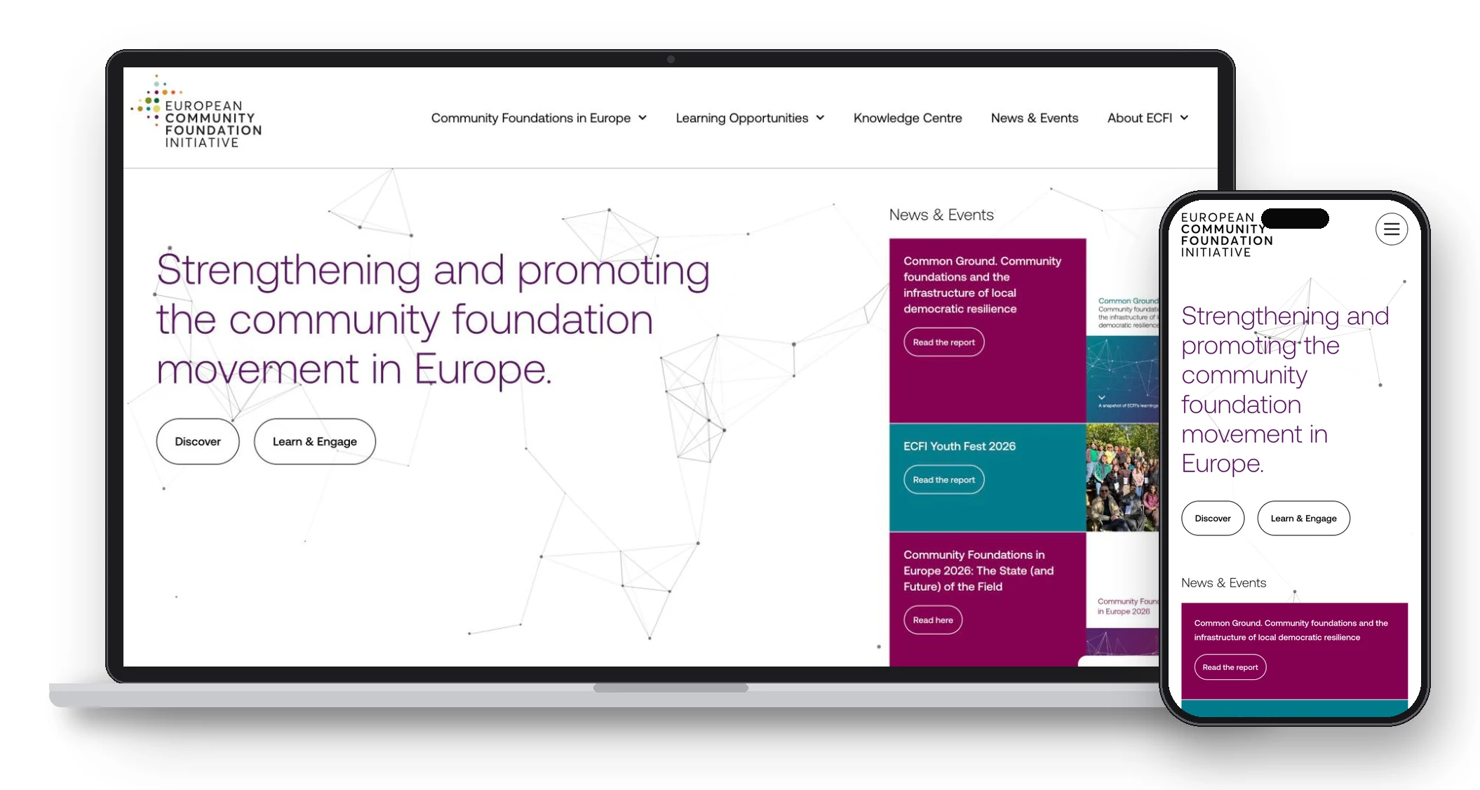 Fundación ECFI — Diseño web